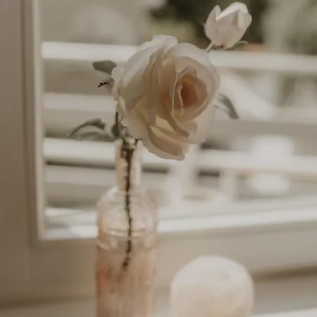 Weissewolke Apartamento Bad Fallingbostel